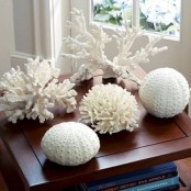 corals and sea urchins is a lovely idea to add a seaside touch to the space and you can DIY such decor very fast