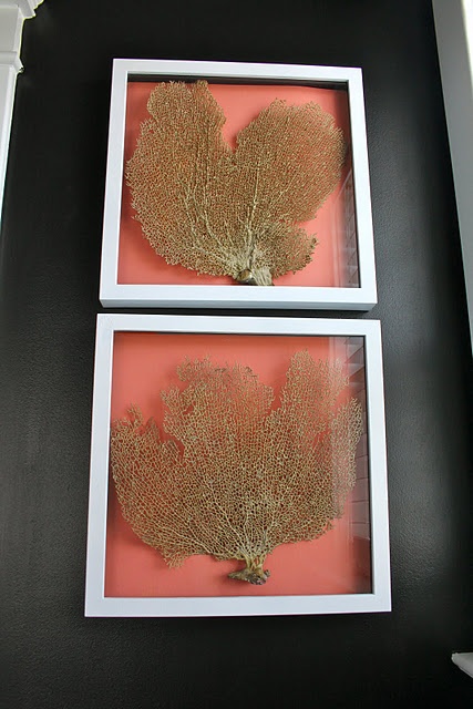 seaside artworks done with corals placed in frames with coral backdrops is a lovely idea to decorate any coastal space