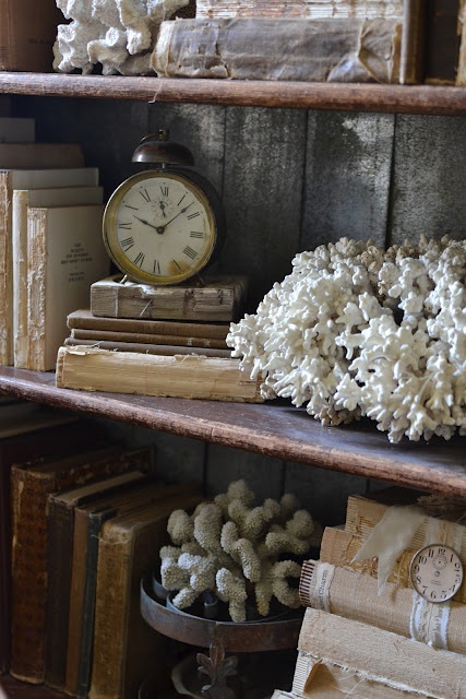 Corals placed on a vintage shelf to make the space look seaside and coastal like