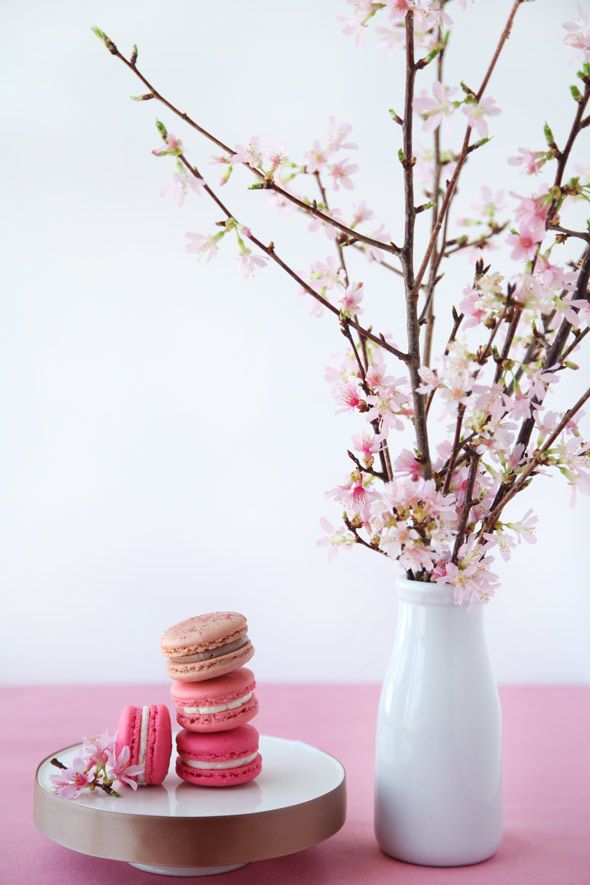 Put cherry blossoms in a vase and place them in your kitchen to make it feel spring y