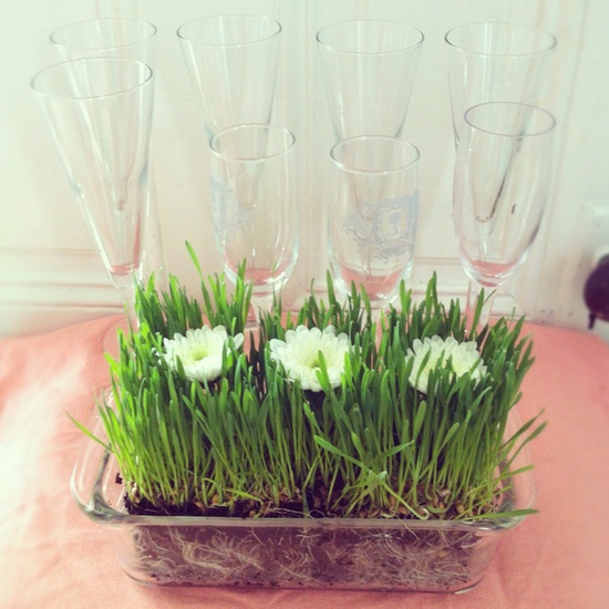 a glass tray with grass and spring bulbs is a simple and fresh Easter decoration