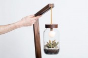 Eco Friendly Lamp With A Terrarium Lampshade