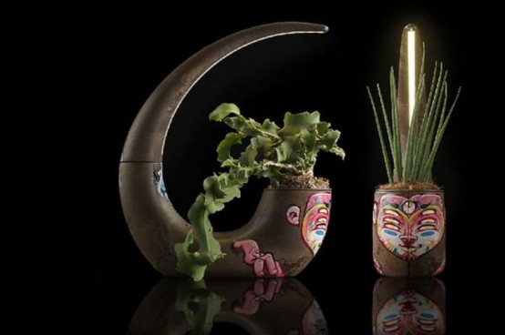 Eco Friendly Planter And Lamp In One