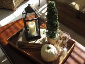a natural fall display with a candle lantern, a white pumpkin, wine cork and a tree growing