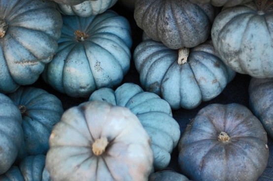 blue, grye and taupe pumpkins with a metallic shine look very cool and very modern, they are easy to DIY