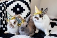 festive rabbits invited for a modern baby shower