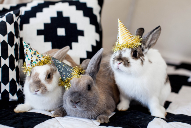 festive rabbits invited for a modern baby shower