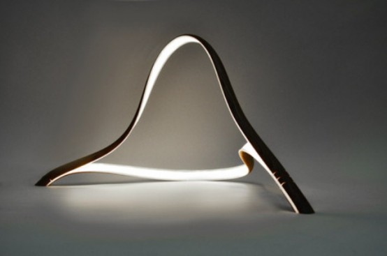 Flexible Minimalist Free Form Lamp