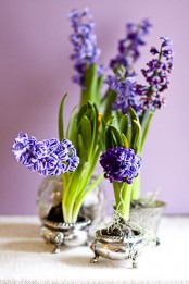 purple hyacinths are perfect for spring flower arrangeents