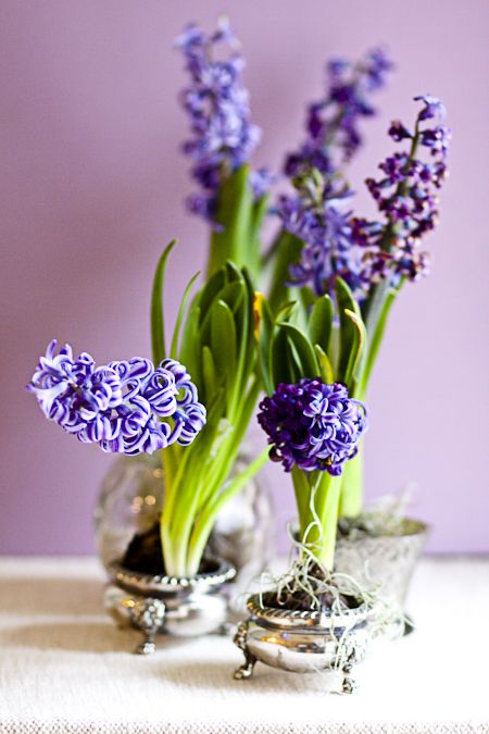 vintage silver sugar pots with purple hyacinths will bring a spring feel to any vintage space making it even more refined