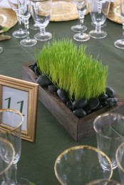 a box with wheatgrass and black pebbles is a stylish and ultra-modern wedding or just spring centerpiece