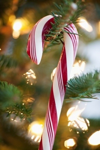 Candy canes can be used as Christmas ornaments and they will look all natural and very traditional, fun and cool