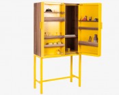 Functional Cabinet To Display Or Hide Things