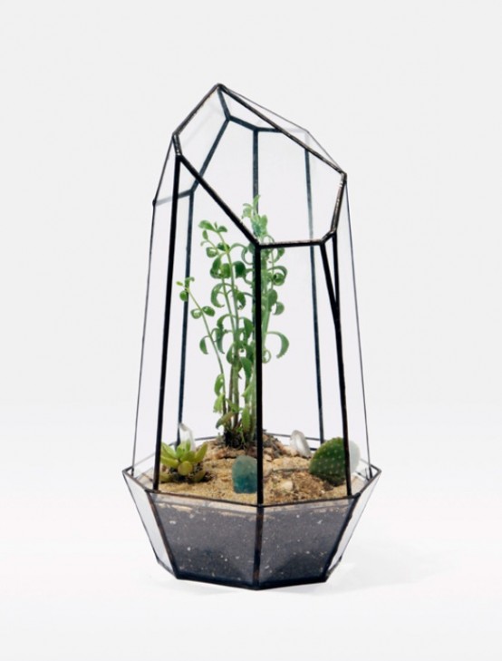 Stylish Glass Terrariums To Grow Green Plants