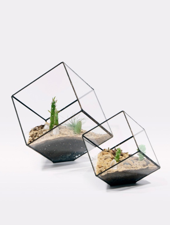 Glass Terrariums To Grow Green Plants