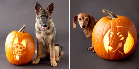 Super cute dog-inspired pumpkin carvings.