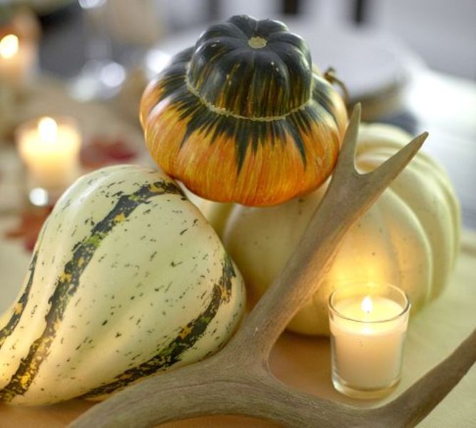 Neutral pumpkins and gourds, candles and antlers for decorating for fall or Thanksgiving   a nice centerpiece or just decoration
