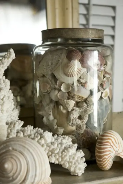 seashells on the shelves and in jars will give a beachy feel to your home at once