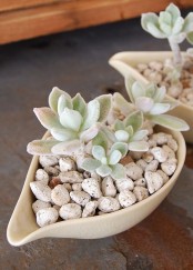 sauce pans with pebbles and succulents are stylish decorations to go for and can be used to accent tablescapes