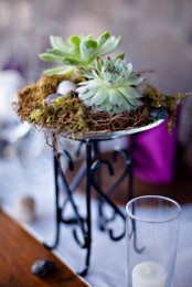 a bowl with succulents and hay on a tall stand is a very stylish and bold decoration or centerpiece