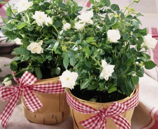 plywood planters with white blooms and plaid ribbons are rustic chic decorations for any indoor or outdoor space