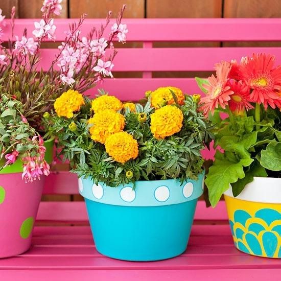 colorful printed planters with extra bold blooms will make your space cheerful and fun