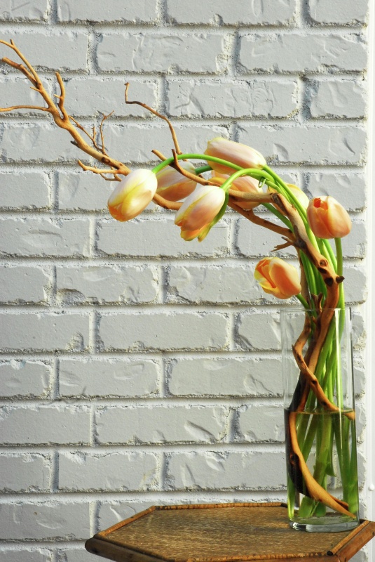A clear glass vase with orange tulips and vining branches is a bold spring decoration or centerpiece with an unusual ikebana inspired shape
