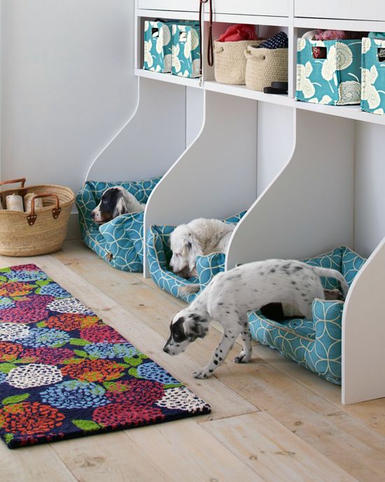 How to organize all your pet supplies comfortably ideas  2
