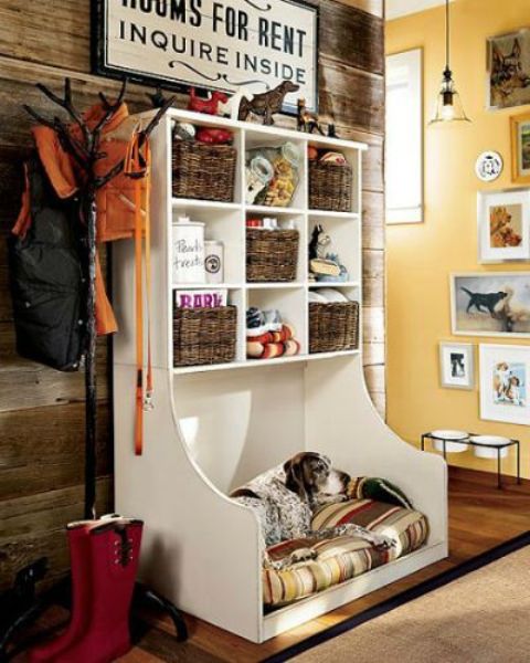 How to organize all your pet supplies comfortably ideas  4