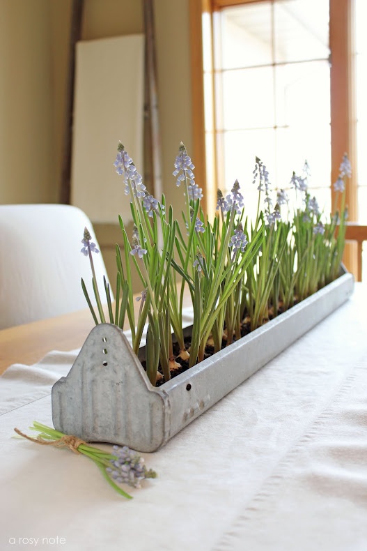a long whitewashed planter with purple hyacinths is a lovely rustic centerpiece or just decoration in rustic style