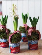 simple tin cans with moss and hyacinths and plaid ribbons is a pretty and fun idea with a modern feel that will bring a spring touch to the space