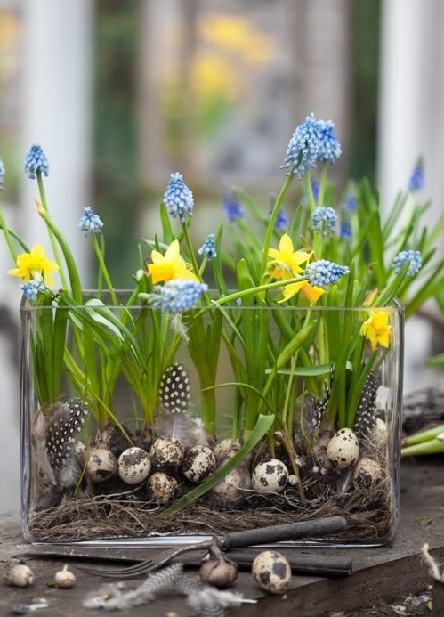 A creative spring decoration   a large glass vase with hay, fake eggs and feathers and blue hyacinths and yellow daffodils