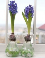 glass vases with colorful buttons and bright purple hyacinths is a pretty and simple decor idea for spring