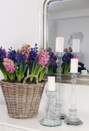 a basket with colorful hyacinths and some moss is a fantastic rustic spring decoration that bursts with color