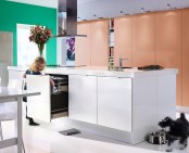 Ikea 2010 Kitchen Design Ideas