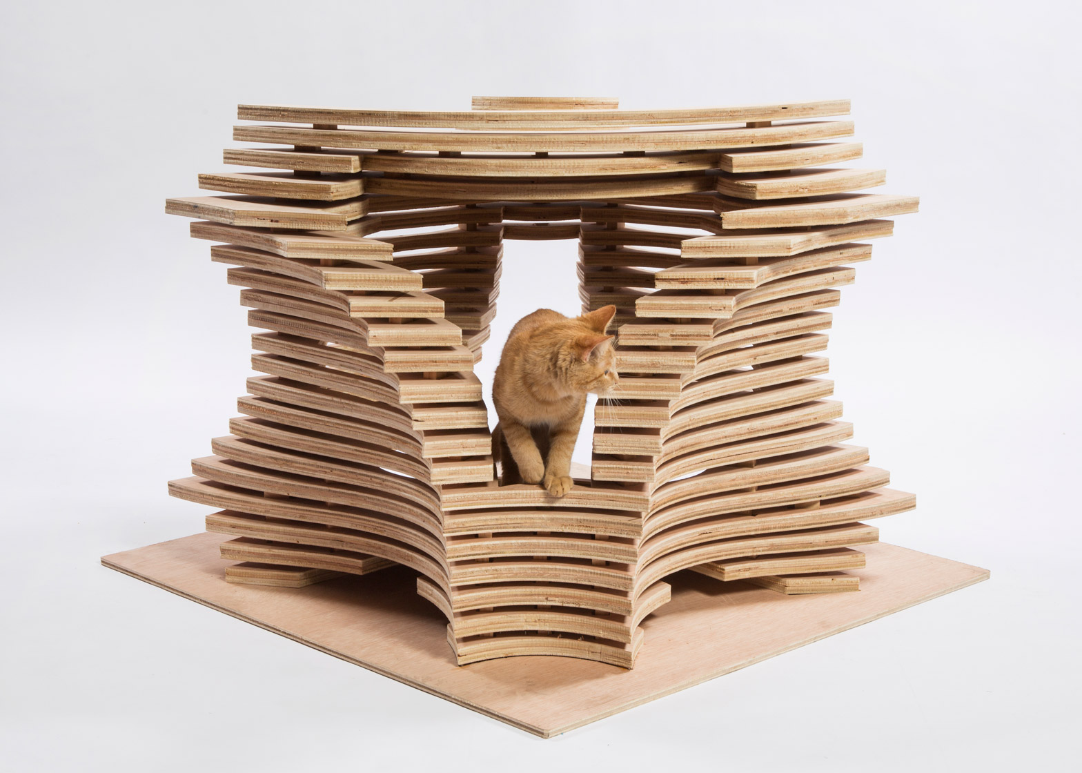Imaginative and bold cat houses with futuristic designs  1