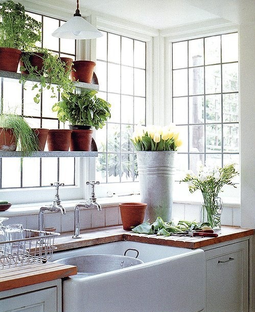 Fresh greenery in pots and bright yellow tulips in a bucket will make yoru kitchen more spring like, bright and fresh