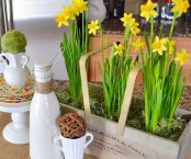 a vintage toolbox with yellow daffodils and moss make the kitchen feel more spring-like and fresh