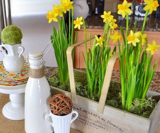 a vintage toolbox with yellow daffodils and moss make the kitchen feel more spring-like and fresh