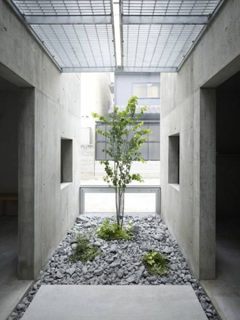 a minimalist Japanese courtyard with pebbles, greenery and a tree growing is a beautiful idea