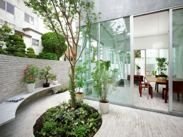 A minimalist Japanese inspired courtyard with a tree and greenery, a bench and some bricks on the ground