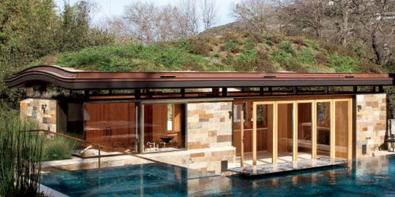 Living Roof Design: A Real Rooftop Oasis