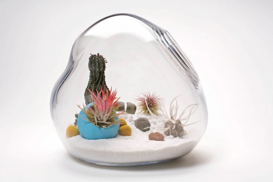 Hand-Blown Glass Mini Terrariums by Lítill