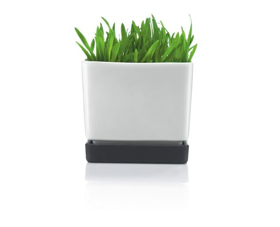 Minimalistic Black and White Flowerpots from Bodum and Sportmax