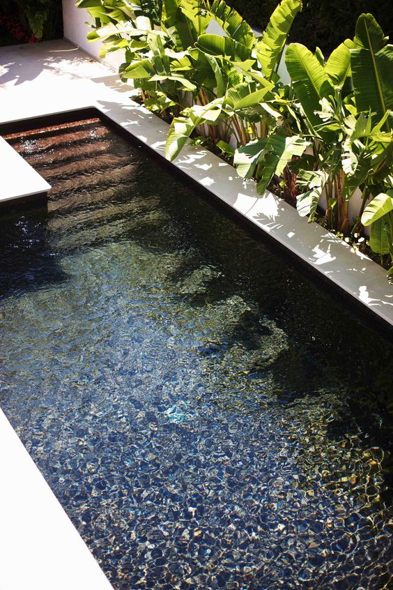 minimalist outdoor plunge pool with a white edge