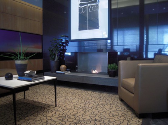 Modern Fireplace Examples