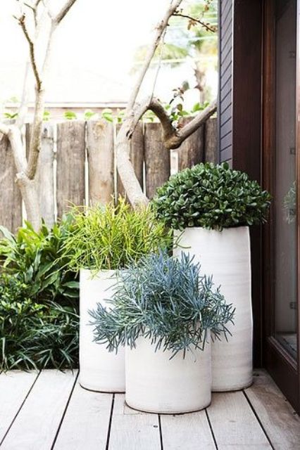 tall white planters with a slight texture and green plants will give your backyard a modern and fresh feel