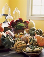heirloom pumpkins and gourds can be used to compose some Thanksgiving decor or just a centerpiece, no additional decor needed