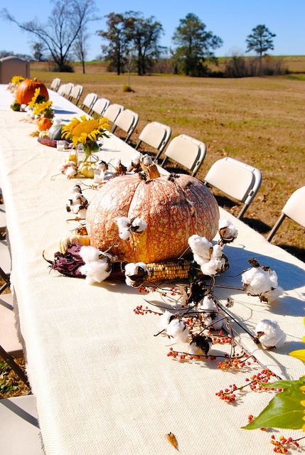 decorate your table with pumpkins, cotton, corn cobs and berries on branches for a Thanksgiving party