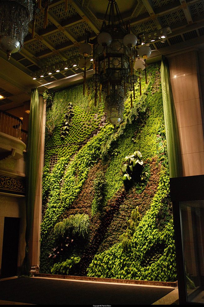 Peaceful indoor living wall designs for any home  14